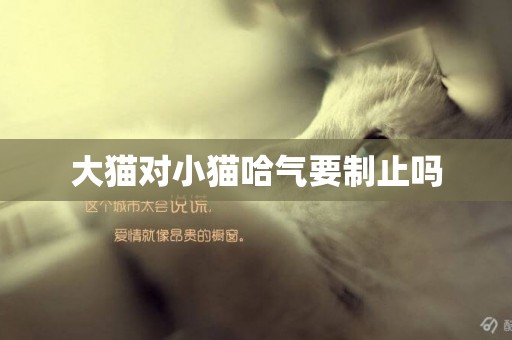 大貓對小貓哈氣要制止嗎