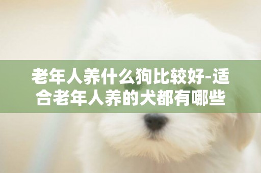 老年人養什么狗比較好-適合老年人養的犬都有哪些