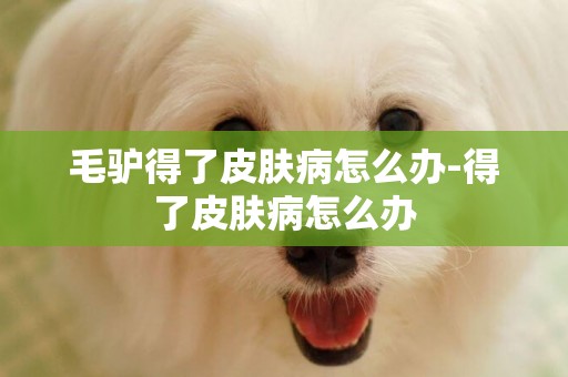 毛驢得了皮膚病怎么辦-得了皮膚病怎么辦