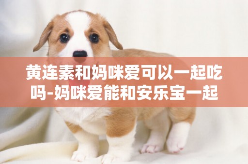 黃連素和媽咪愛可以一起吃嗎-媽咪愛能和安樂寶一起吃嗎