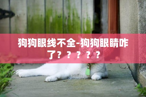 狗狗眼線不全-狗狗眼睛咋了？？？？？