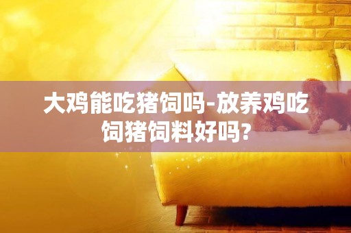 大雞能吃豬飼嗎-放養雞吃飼豬飼料好嗎?