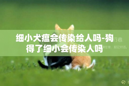 細小犬瘟會傳染給人嗎-狗得了細小會傳染人嗎