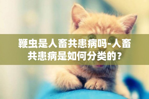 鞭蟲是人畜共患病嗎-人畜共患病是如何分類的？
