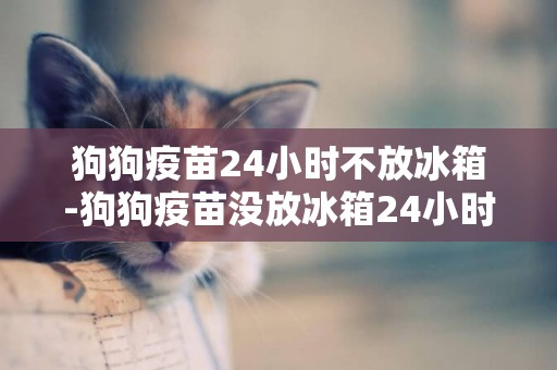 狗狗疫苗24小時不放冰箱-狗狗疫苗沒放冰箱24小時能用嗎