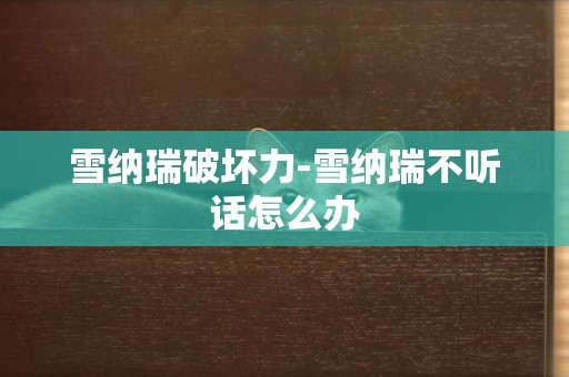 雪納瑞破壞力-雪納瑞不聽話怎么辦