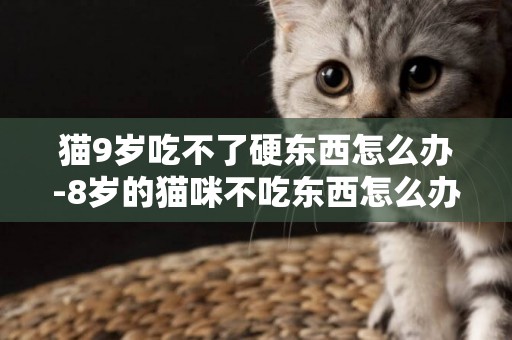 貓9歲吃不了硬東西怎么辦-8歲的貓咪不吃東西怎么辦？