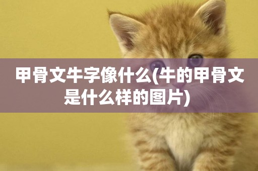 甲骨文牛字像什么(牛的甲骨文是什么樣的圖片) 