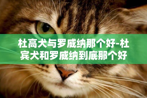 杜高犬與羅威納那個好-杜賓犬和羅威納到底那個好