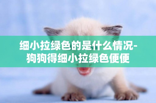 細小拉綠色的是什么情況-狗狗得細小拉綠色便便