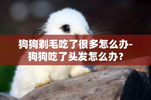 狗狗剃毛吃了很多怎么辦-狗狗吃了頭發怎么辦？