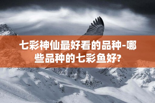 七彩神仙最好看的品種-哪些品種的七彩魚好?