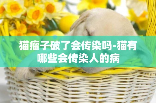 貓瘤子破了會傳染嗎-貓有哪些會傳染人的病