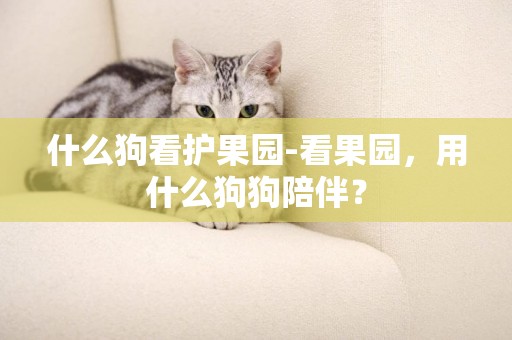 什么狗看護果園-看果園，用什么狗狗陪伴？
