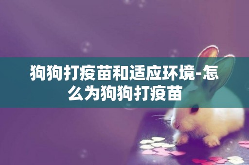 狗狗打疫苗和適應環境-怎么為狗狗打疫苗
