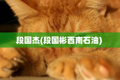 段國杰(段國彬西南石油) 