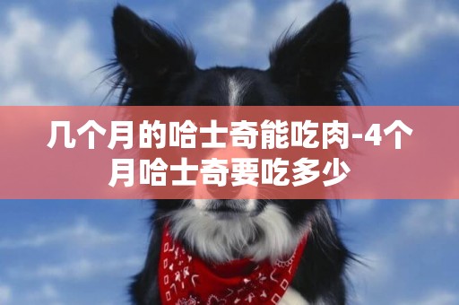 幾個月的哈士奇能吃肉-4個月哈士奇要吃多少