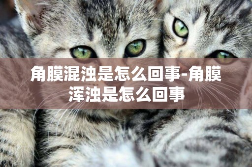 角膜混濁是怎么回事-角膜渾濁是怎么回事