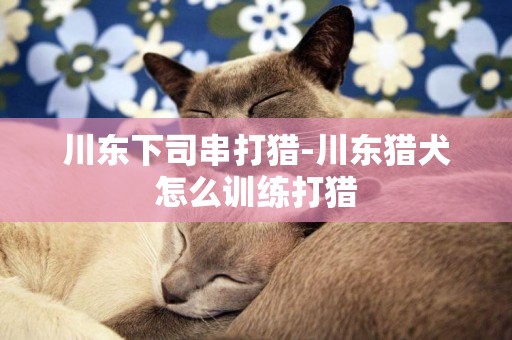 川東下司串打獵-川東獵犬怎么訓練打獵