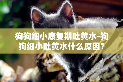 狗狗細小康復期吐黃水-狗狗細小吐黃水什么原因？