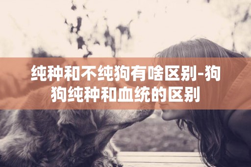 純種和不純狗有啥區別-狗狗純種和血統的區別
