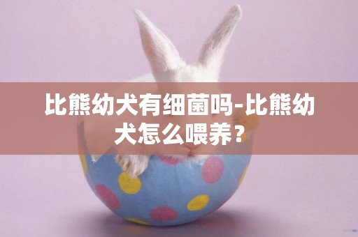 比熊幼犬有細菌嗎-比熊幼犬怎么喂養？