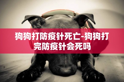 狗狗打防疫針死亡-狗狗打完防疫針會死嗎