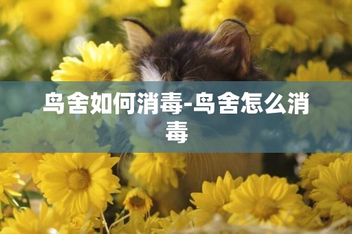 鳥舍如何消毒-鳥舍怎么消毒