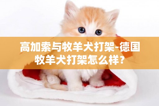 高加索與牧羊犬打架-德國牧羊犬打架怎么樣？