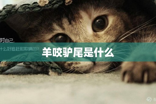 羊咬驢尾是什么