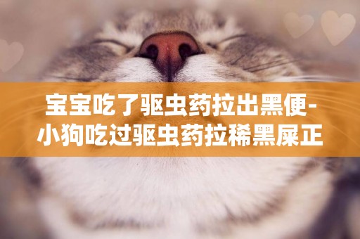 寶寶吃了驅蟲藥拉出黑便-小狗吃過驅蟲藥拉稀黑屎正常嗎'
