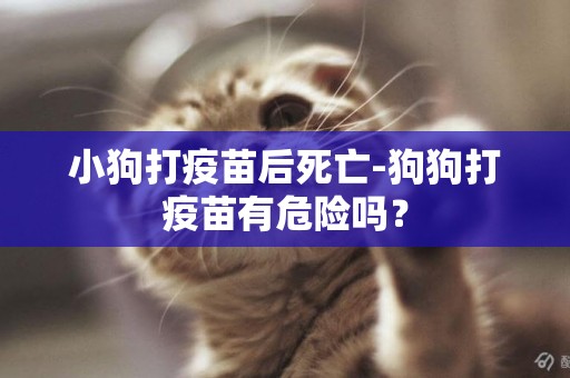 小狗打疫苗后死亡-狗狗打疫苗有危險嗎？