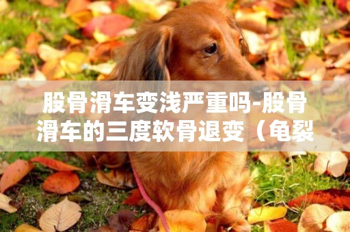 股骨滑車變淺嚴重嗎-股骨滑車的三度軟骨退變（龜裂）到四度需要多長時間啊？跪謝！！！