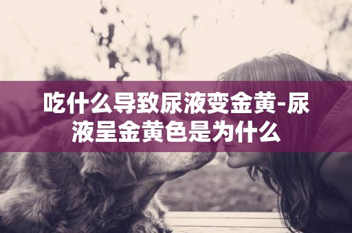 吃什么導致尿液變金黃-尿液呈金黃色是為什么