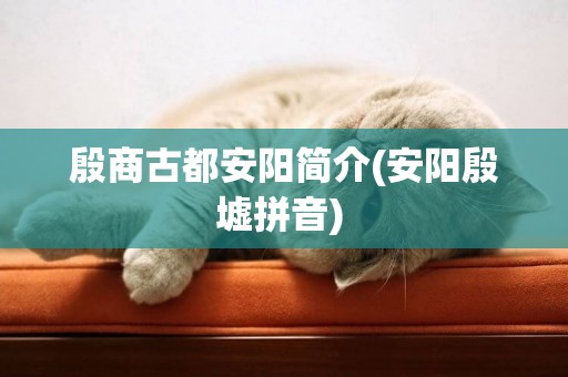 殷商古都安陽簡介(安陽殷墟拼音) 