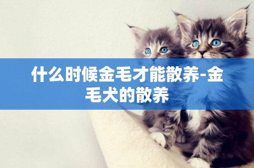 什么時候金毛才能散養-金毛犬的散養