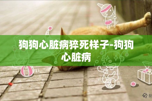 狗狗心臟病猝死樣子-狗狗心臟病