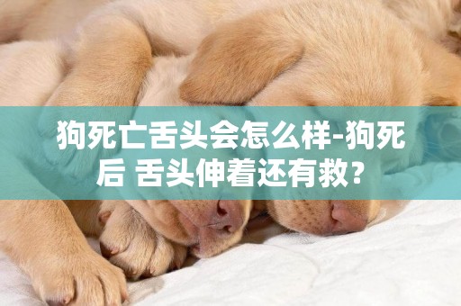 狗死亡舌頭會怎么樣-狗死后 舌頭伸著還有救？