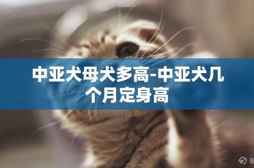 中亞犬母犬多高-中亞犬幾個月定身高