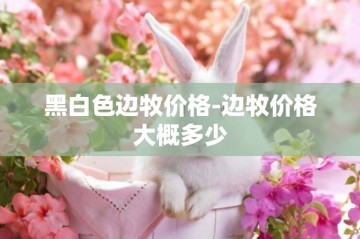 黑白色邊牧價格-邊牧價格大概多少