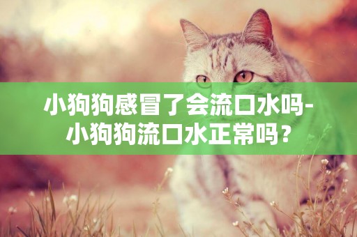 小狗狗感冒了會流口水嗎-小狗狗流口水正常嗎？