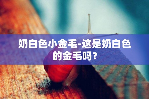 奶白色小金毛-這是奶白色的金毛嗎？