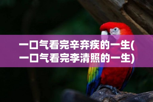 一口氣看完辛棄疾的一生(一口氣看完李清照的一生) 