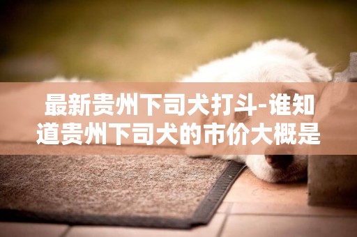 最新貴州下司犬打斗-誰知道貴州下司犬的市價大概是多少一只？