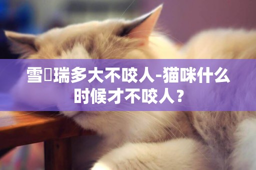 雪納瑞多大不咬人-貓咪什么時候才不咬人？