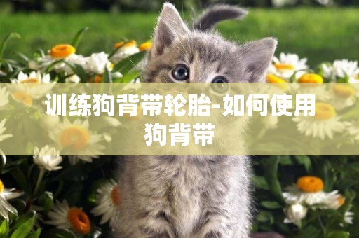 訓練狗背帶輪胎-如何使用狗背帶