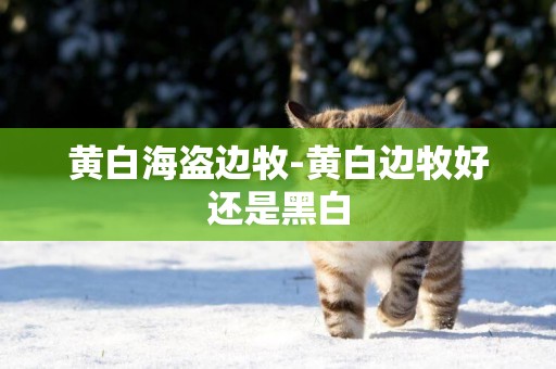 黃白海盜邊牧-黃白邊牧好還是黑白