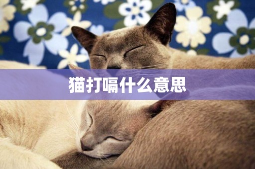 貓打嗝什么意思