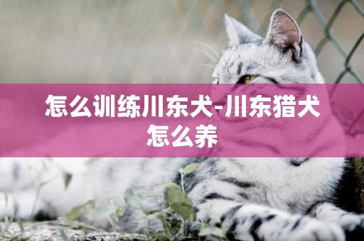 怎么訓練川東犬-川東獵犬怎么養