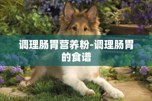 調理腸胃營養粉-調理腸胃的食譜
